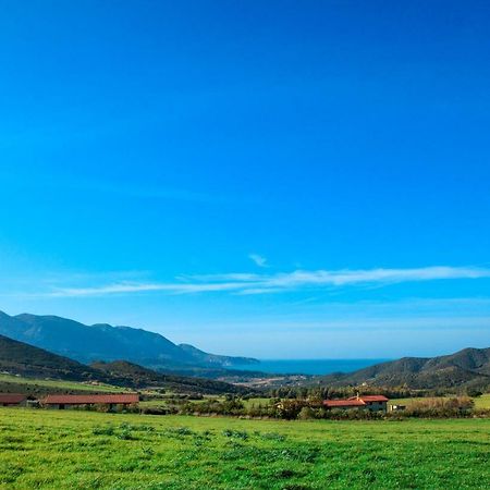 Agriturismo Il Ginepro Fluminimaggiore Zewnętrze zdjęcie
