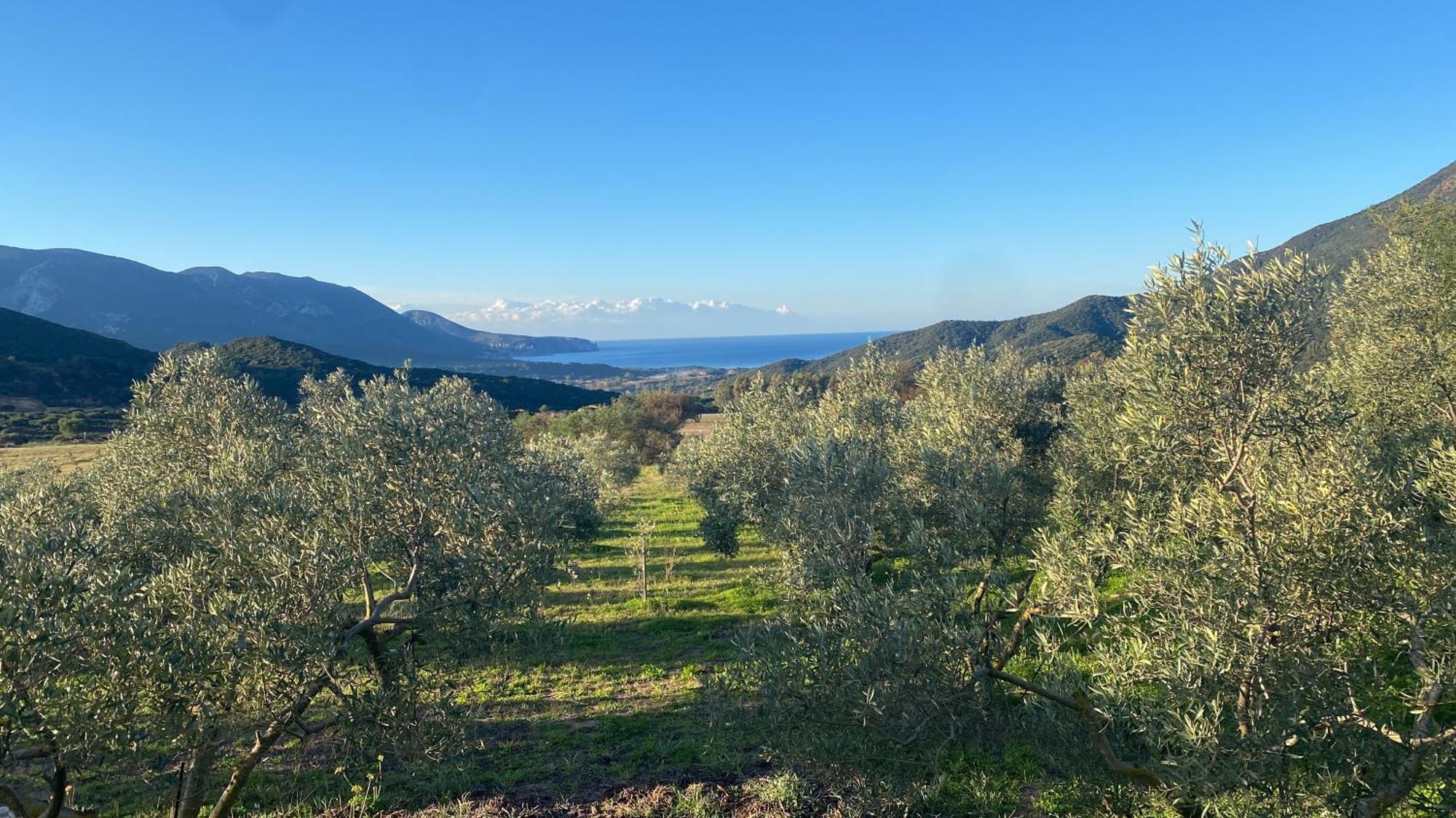Agriturismo Il Ginepro Fluminimaggiore Zewnętrze zdjęcie