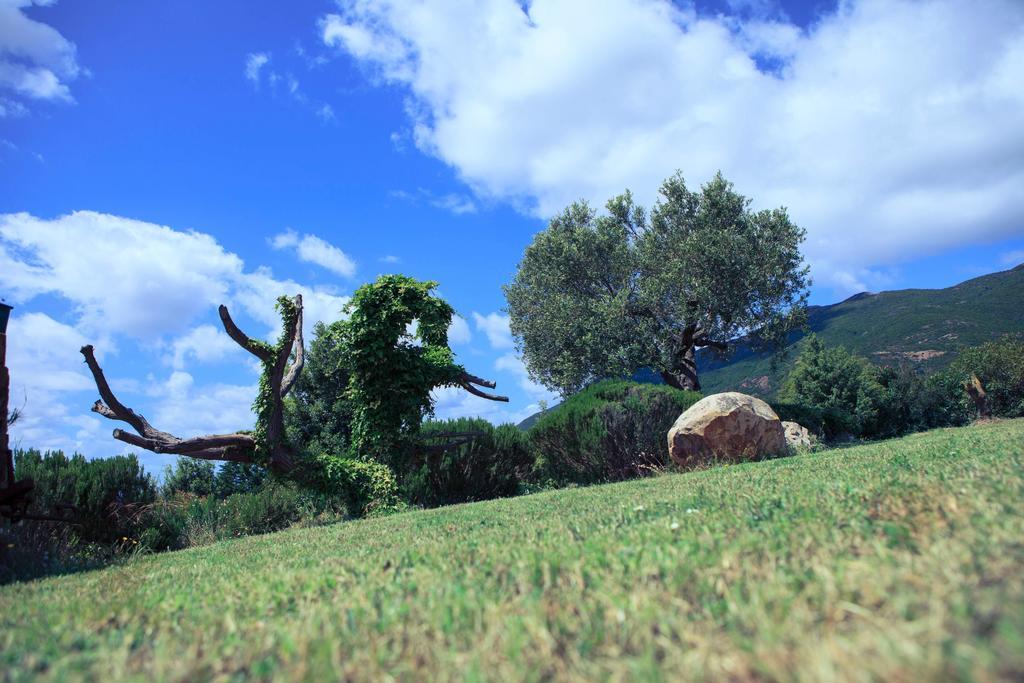 Agriturismo Il Ginepro Fluminimaggiore Zewnętrze zdjęcie