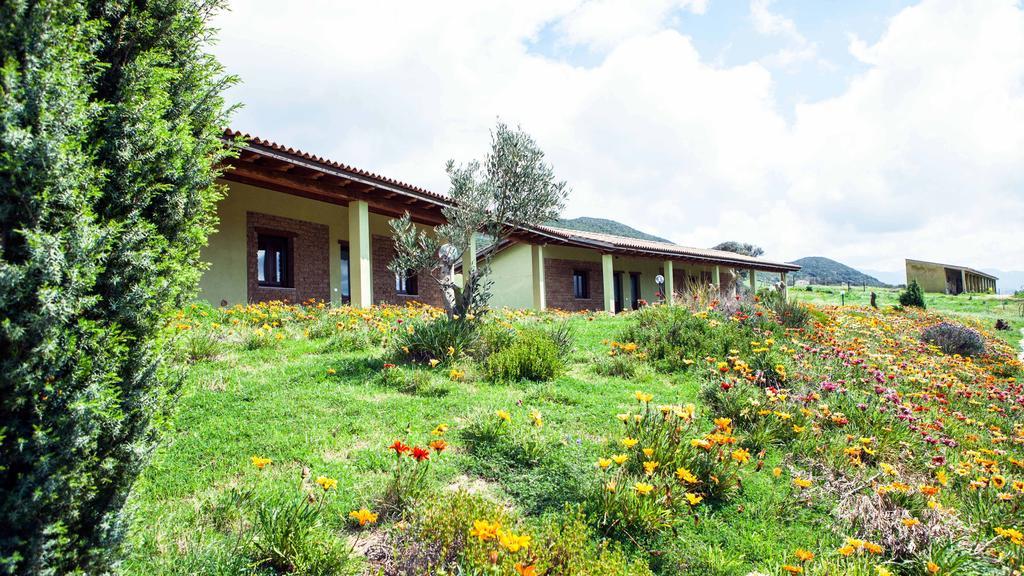 Agriturismo Il Ginepro Fluminimaggiore Pokój zdjęcie
