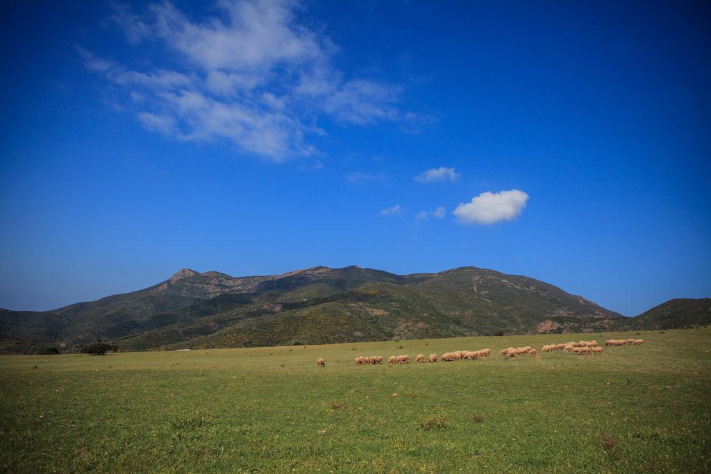 Agriturismo Il Ginepro Fluminimaggiore Zewnętrze zdjęcie